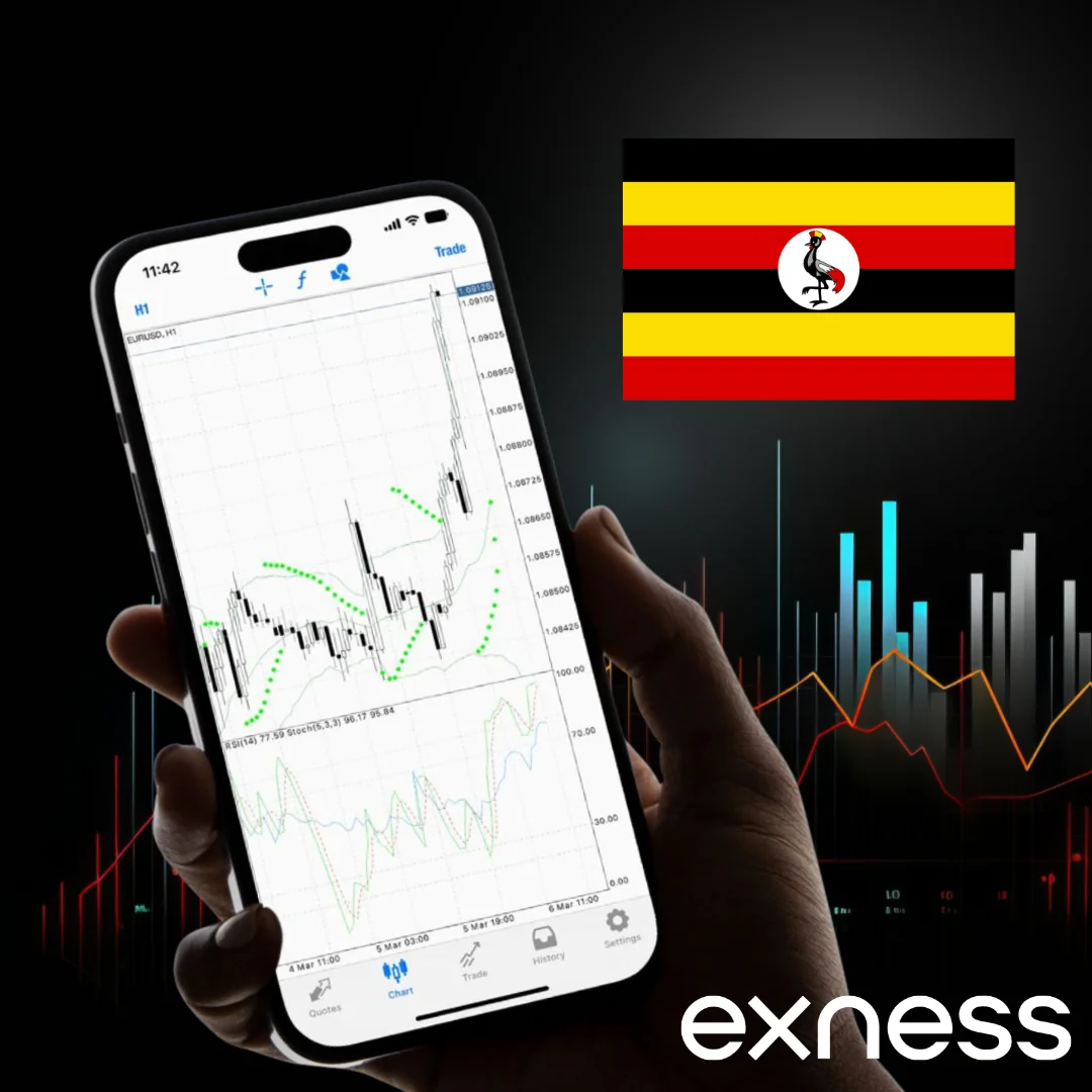 Top 10 Websites To Look For Exness Browser Trading